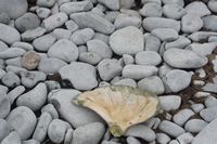 
DSC00151
